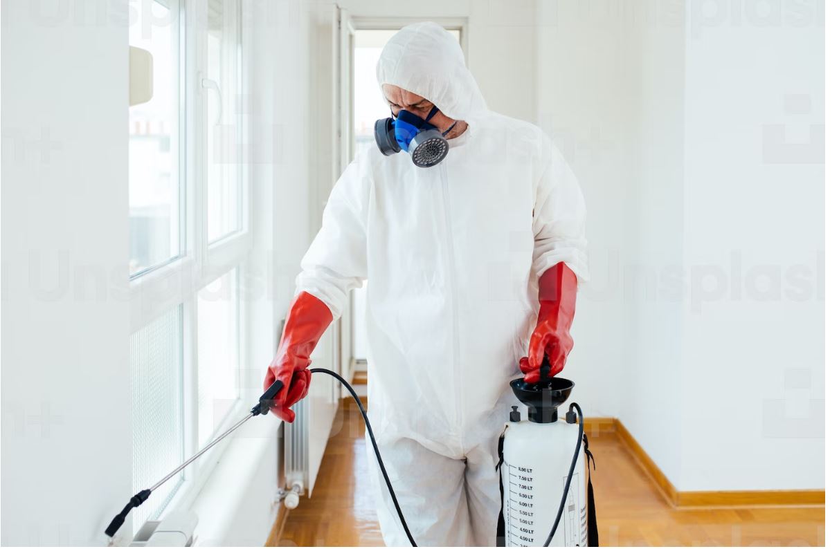 Scorpion Pest Control Service PestoKil Dubai Pest Control Service